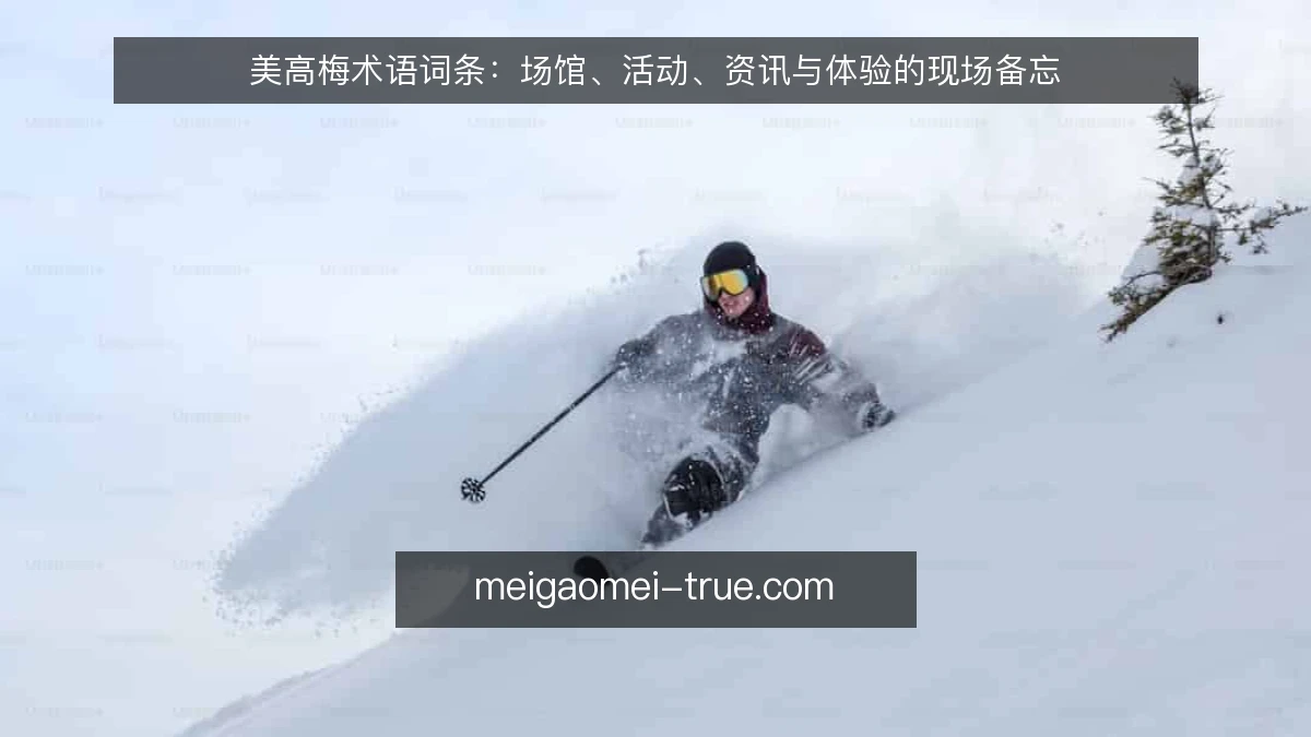 美高梅术语词条：场馆、活动、资讯与体验的现场备忘